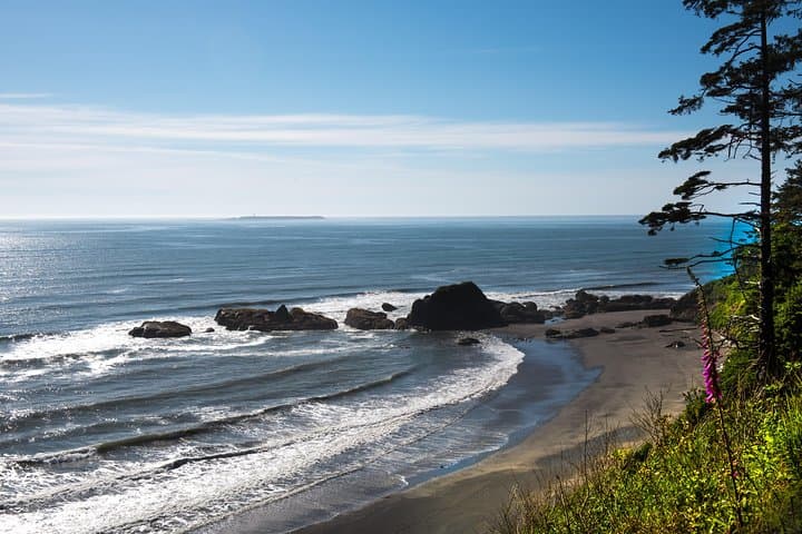 Olympic National Park Day Tour from Seattle — Hurricane Ridge, Lake Crescent & Pacific Coast photo 4