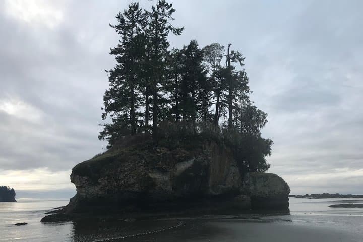 Olympic National Park Day Tour from Seattle — Hurricane Ridge, Lake Crescent & Pacific Coast photo 5