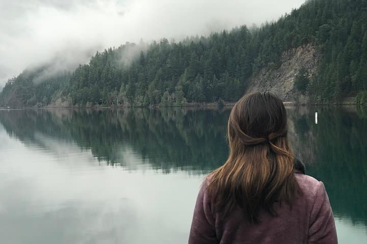 Olympic National Park Day Tour from Seattle — Hurricane Ridge, Lake Crescent & Pacific Coast