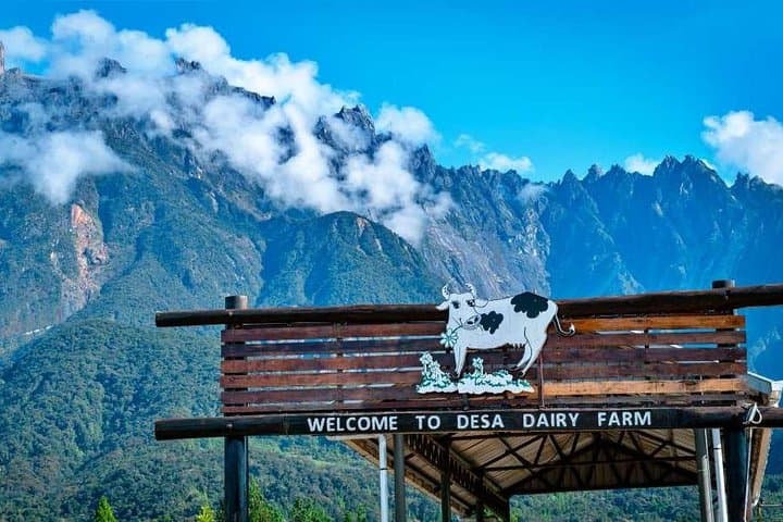Kinabalu Park Day Trip: Rumah Terbalik & Desa Cow Farm from Kota Kinabalu