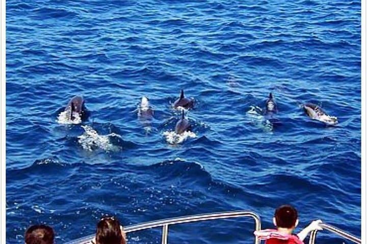 Northern Taiwan 3-Day Tour: Taipei, New Taipei City & Yilan Highlights photo 6