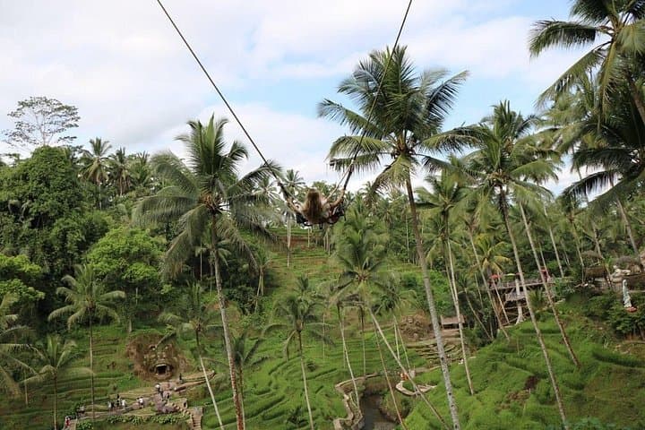 One-Day Private Ubud Tour: Art Villages, Tegenungan Waterfall & Bali Swing photo 4