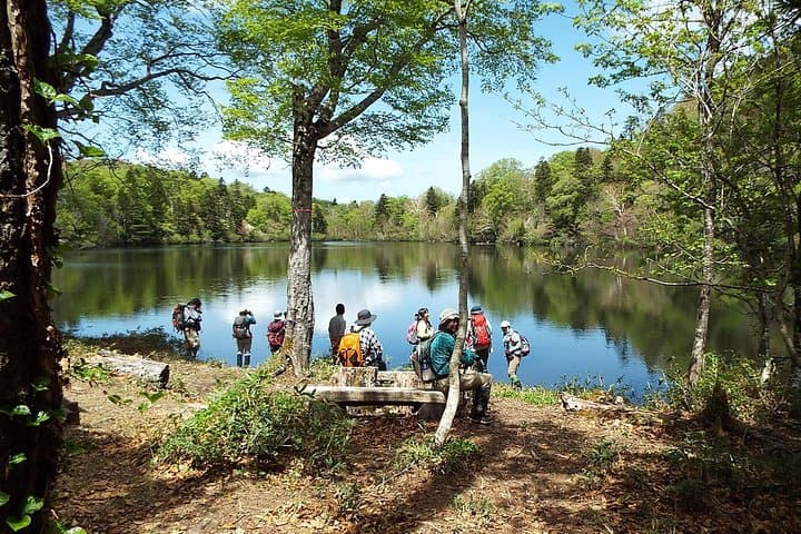 Naganuma Pond Guided Walk and Fuke-no-yu Onsen: Akita Forest Snowshoe Experience