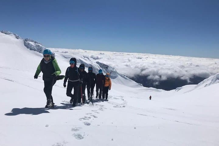 Summit the Crater Lake: Private Mt Ruapehu Plateau Guided Hike photo 5