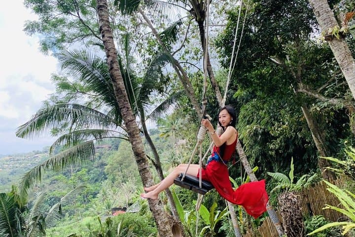 Ubud Full-Day Tour: Monkey Forest, Tegalalang Rice Terrace & Bali Swing photo 2