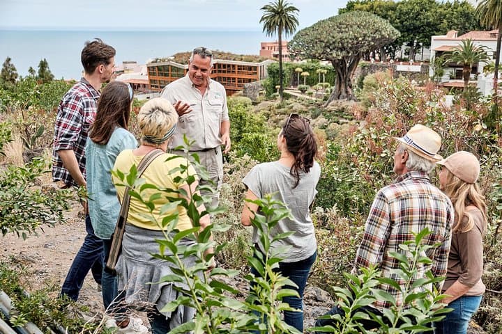 VIP Grand Tour of Tenerife: Teide, Masca & North Coast in One Day