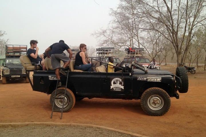 Day Tour to Mole National Park: Wildlife Drives, Larabanga Mosque & Mognori Village