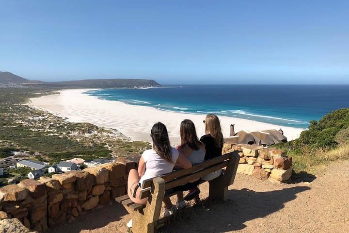 Cape Peninsula Private Tour: Scenic Drive to Cape Point, Boulders Beach & Penguin Colony photo 6