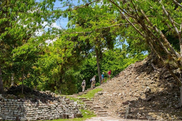 Copán Ruins Day Trip from San Pedro Sula: Explore Mayan Stelae & the Hieroglyphic Stairway photo 2