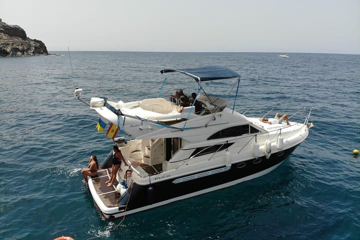 Dolphin Search Cruise from Puerto de Mogán on KEEPER UNO photo 2