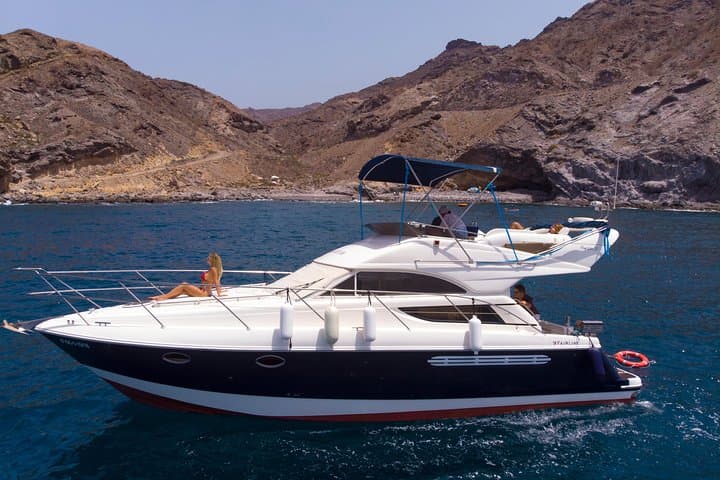 Dolphin Search Cruise from Puerto de Mogán on KEEPER UNO photo 3