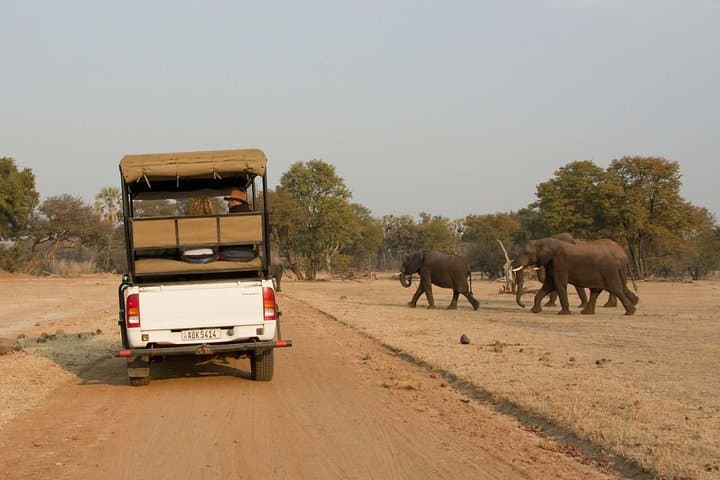 Livingstone Game Drive & White Rhino Walking Safari: Mosi-Oa-Tunya Wildlife Experience photo 1