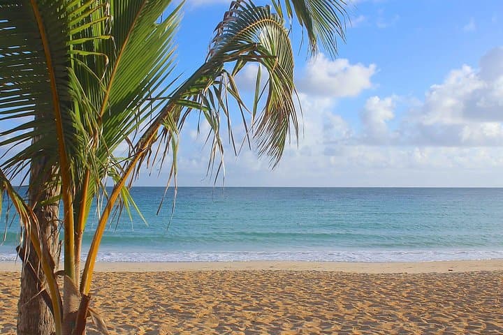 Discover Punta Cana: Safari Adventure & Cultural Dive photo 2