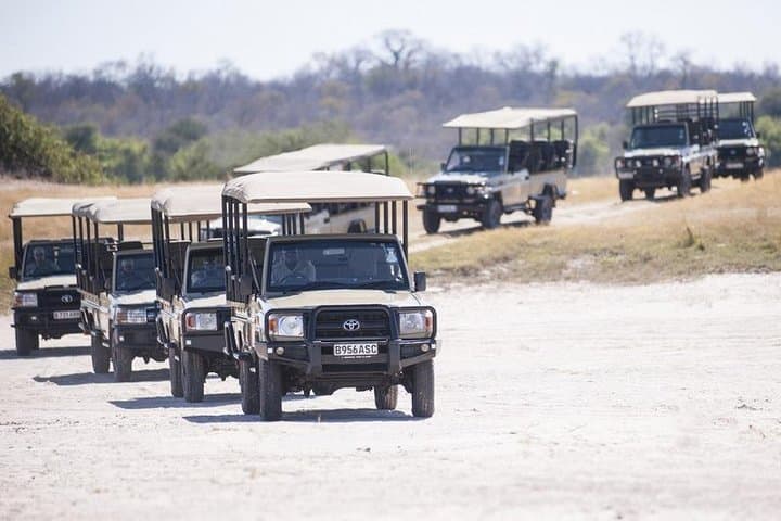Two-Day Camping Safari in Chobe National Park: Camp, Cruise & Close Encounters photo 1