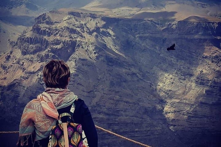 Condor Watching Tour to Valle Nevado & Artisan Village from Santiago photo 1