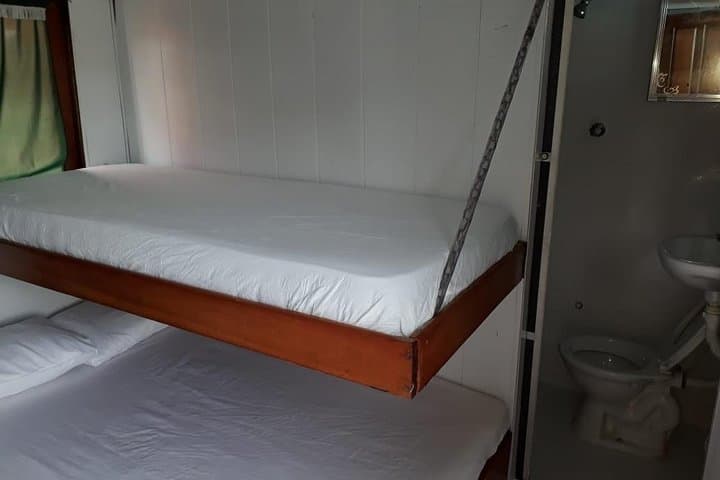 Amazon River Excursion — Orchid Package: 3-Day Manaus Riverboat Adventure photo 3