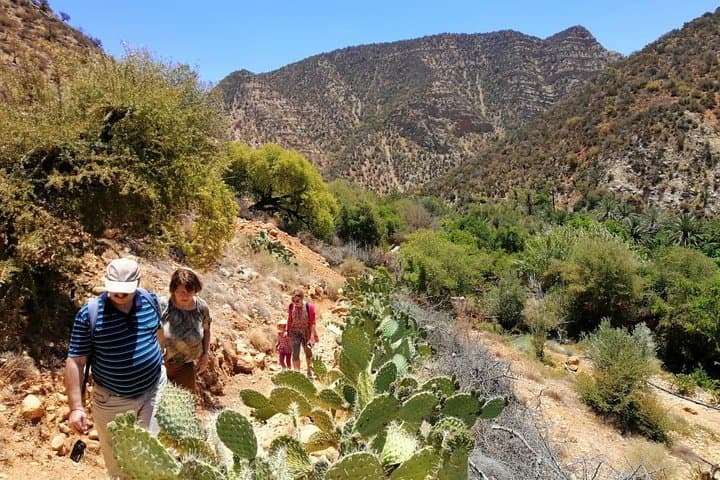 Half-Day Hike Through Palm Groves and Valley Near Agadir photo 2