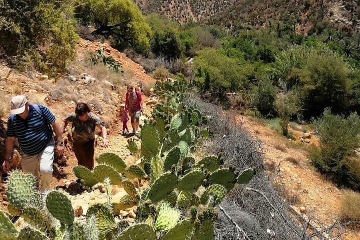 Half-Day Hike Through Palm Groves and Valley Near Agadir photo 4
