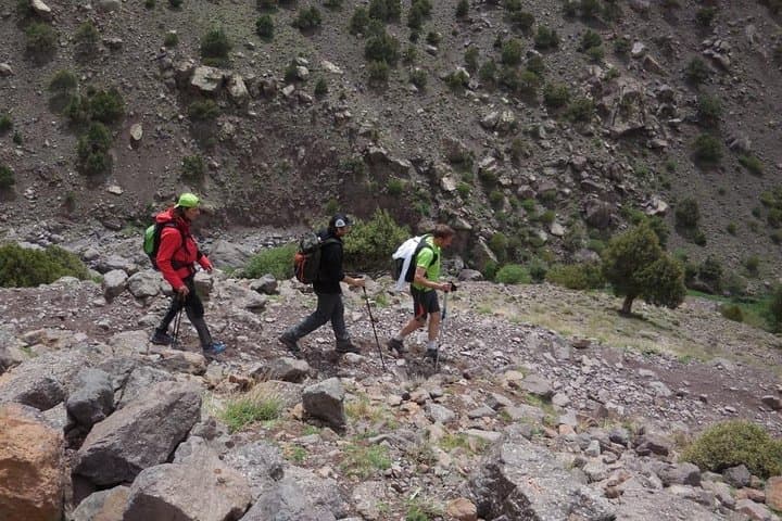 Half-Day Hike Through Palm Groves and Valley Near Agadir