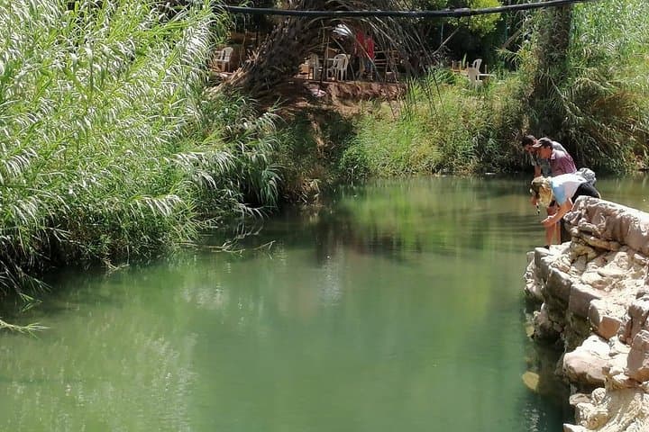 Gateway to Paradise Valley: Half-Day Atlas Mountain Excursion from Agadir