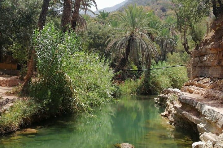 Paradise Valley and Sandboarding Day Trip from Agadir — Full-Day Sandsurfing with Berber Lunch