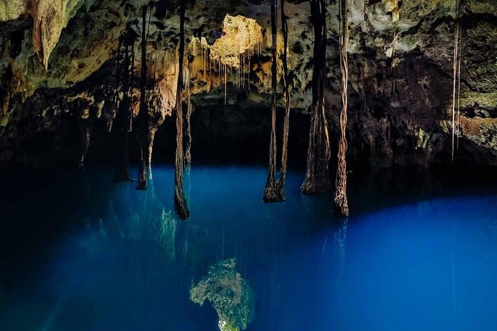 Explore the Four Mayan Xenotes on the Ruta de los Cenotes from Cancun photo 6