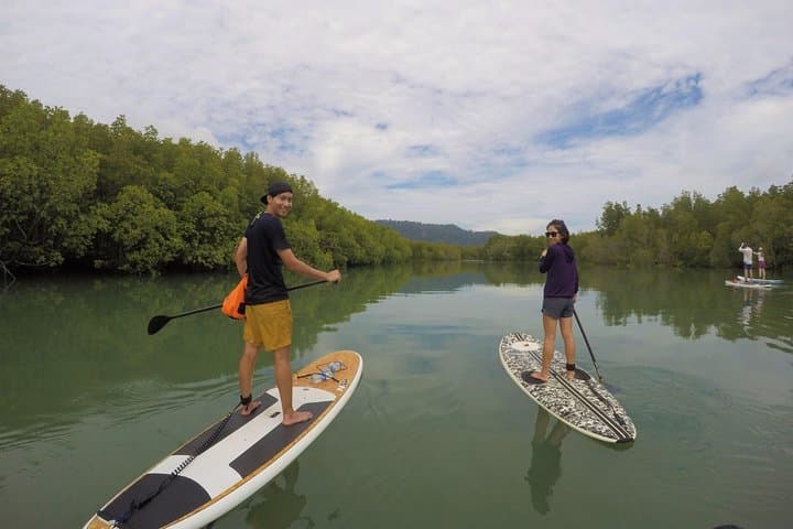 Mangroves SUP Tour Phuket: Paddle Mangrove Canals to Phang Nga Bay