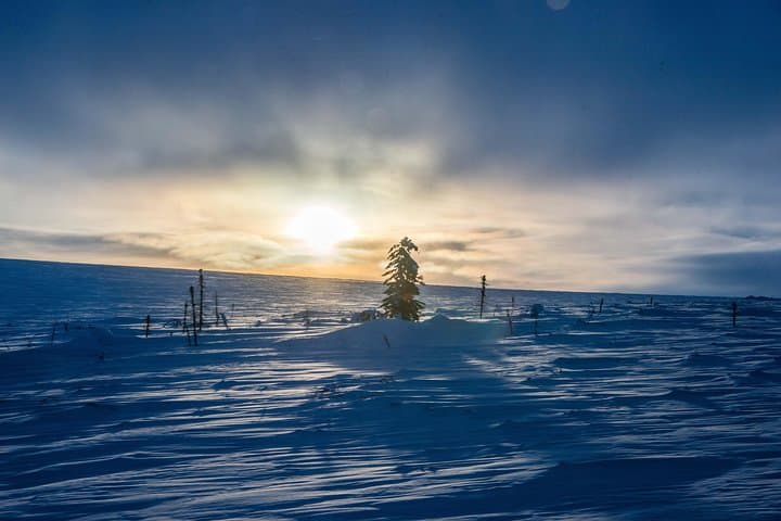 Experience the Arctic Circle Aurora Drive Adventure from Fairbanks photo 3
