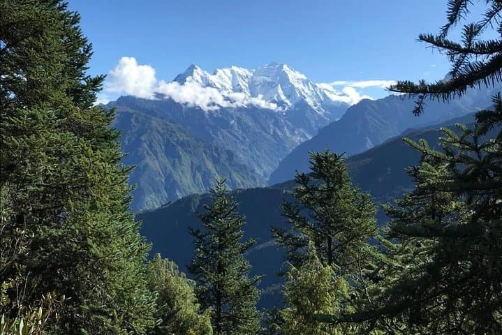 Gosainkunda Trek: 7-Day Holy Lakes Hike from Kathmandu photo 4
