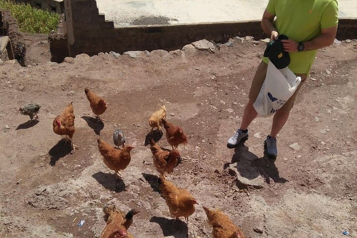 Atlas Mountains Day Trip: Berber Lifestyle, Camel Trek & Waterfalls from Marrakech