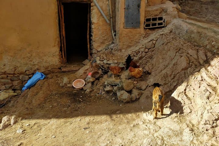 Atlas Mountains Day Trip: Berber Lifestyle, Camel Trek & Waterfalls from Marrakech photo 2