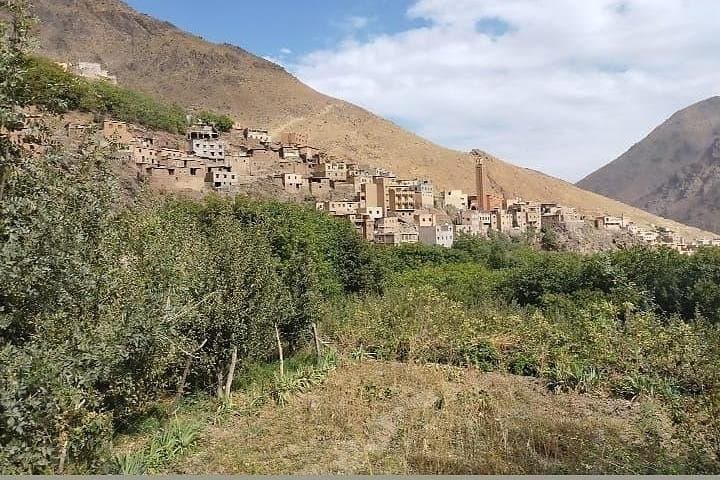 Atlas Mountains Day Trip: Berber Lifestyle, Camel Trek & Waterfalls from Marrakech photo 4
