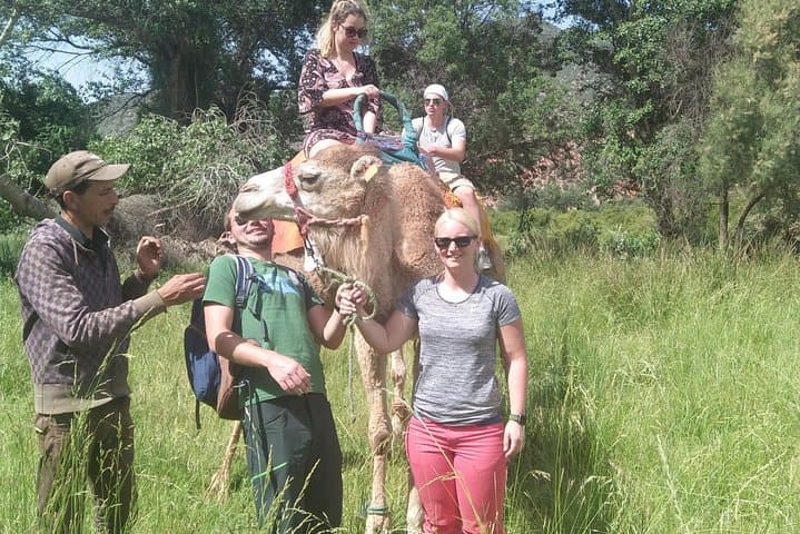 Atlas Mountains Day Trip: Berber Lifestyle, Camel Trek & Waterfalls from Marrakech photo 6
