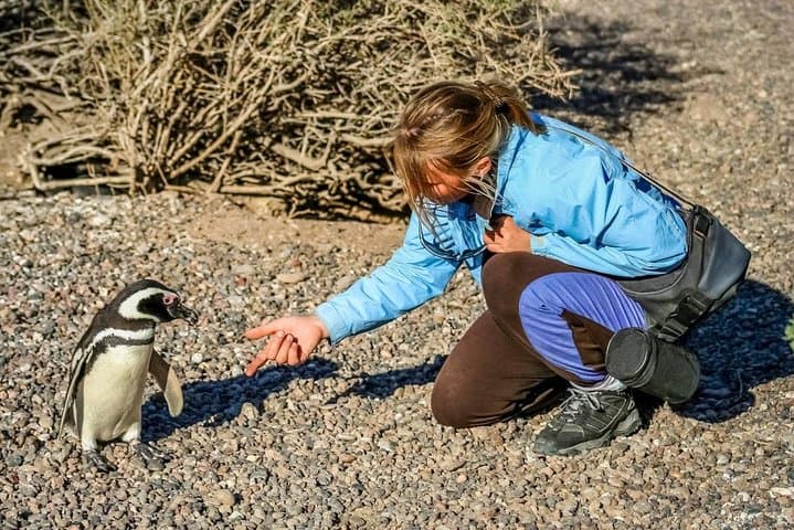 Full Day to El Pedral: Penguin Colony, Punta Ninfas & Patagonian Asado photo 6