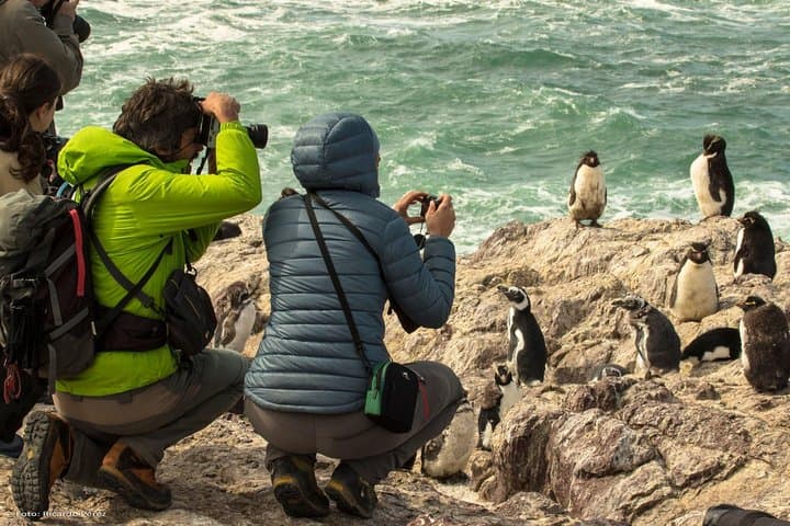 Full Day to El Pedral: Penguin Colony, Punta Ninfas & Patagonian Asado