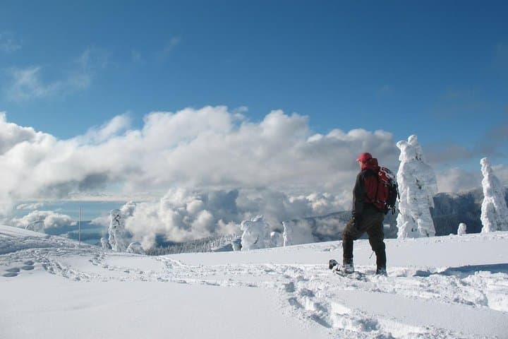 Snowshoeing at Crystal Mountain: Winter Day Trip from Seattle with Gondola Views