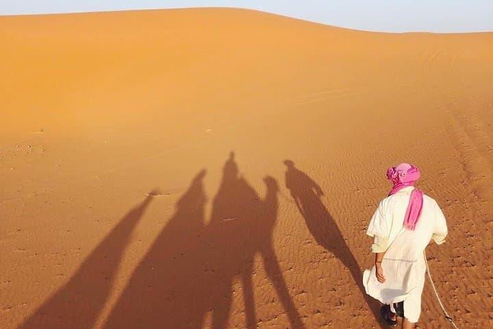 3-Day Merzouga Desert Tour from Marrakech: Camel Trek & Sahara Camp photo 4