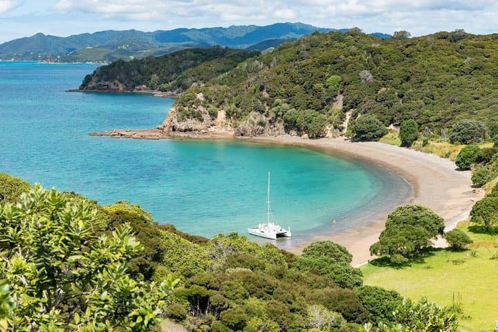 Island Hopper Day Cruise: Bay of Islands Sailing to a Wildlife Sanctuary (Paihia) photo 3