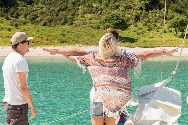 Island Hopper Day Cruise: Bay of Islands Sailing to a Wildlife Sanctuary (Paihia) photo 4