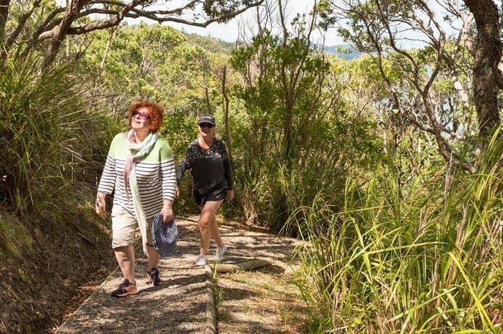 Island Hopper Day Cruise: Bay of Islands Sailing to a Wildlife Sanctuary (Paihia) photo 5