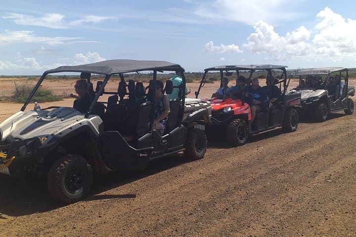 Curacao West-Side Buggy Tours — Beaches, Blue Room & Flamingos (3–4 hrs)