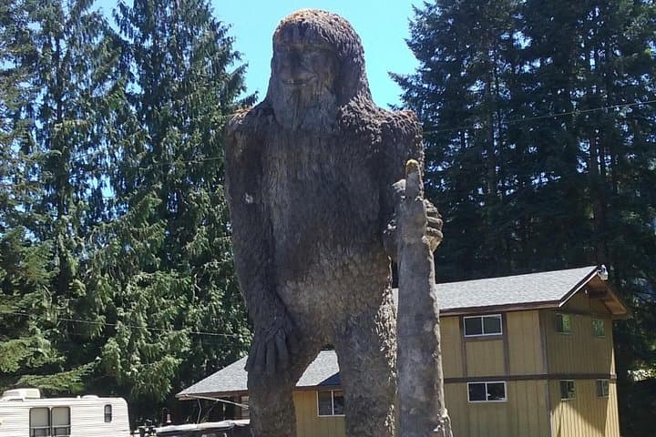 Private Mount St. Helens Day Trip to Johnston Ridge — Luxury Volcano Tour from Seattle photo 5