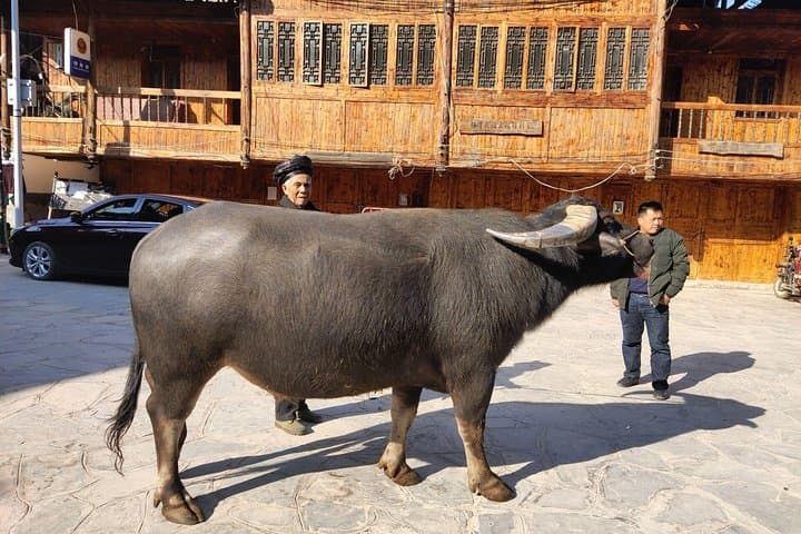 guilin-to-zhangjiajie-9-day-private-southern-china-nature-and-ethnic-culture-tour