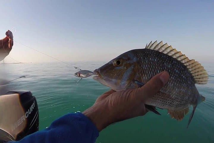 Kuwait City Bay Private Fishing Charter — Arabian Gulf Guided Boat Trip photo 2