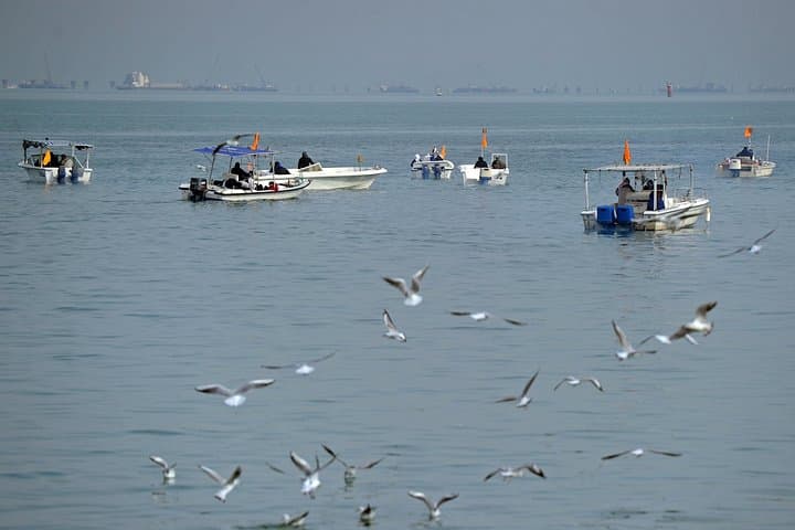 Kuwait City Bay Private Fishing Charter — Arabian Gulf Guided Boat Trip photo 3
