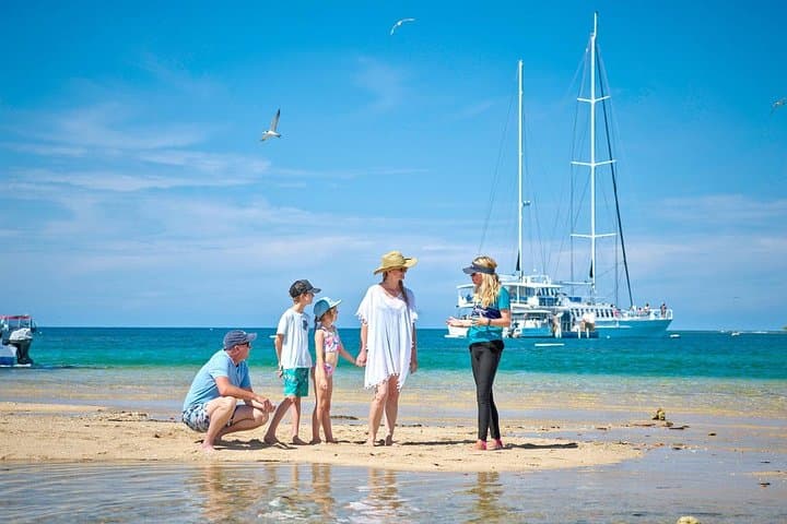 Sail to Low Isles: Wavedancer Great Barrier Reef Snorkel Cruise from Port Douglas photo 5