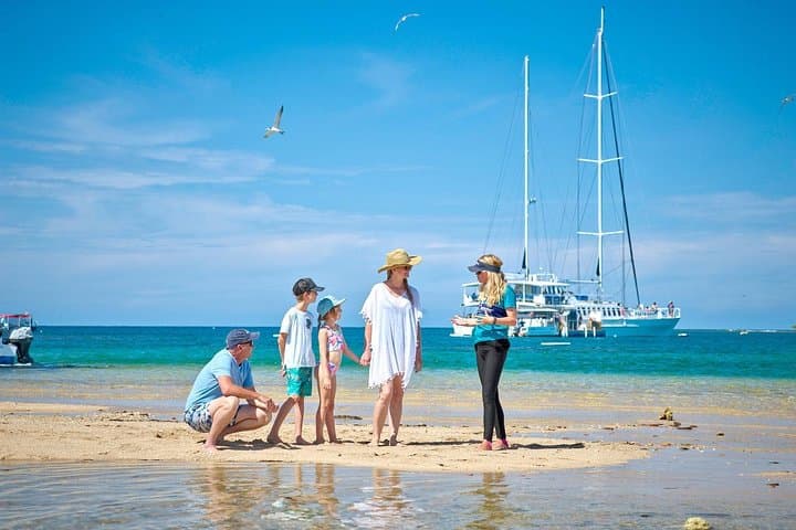 Sail to Low Isles: Wavedancer Great Barrier Reef Day Cruise from Palm Cove photo 2
