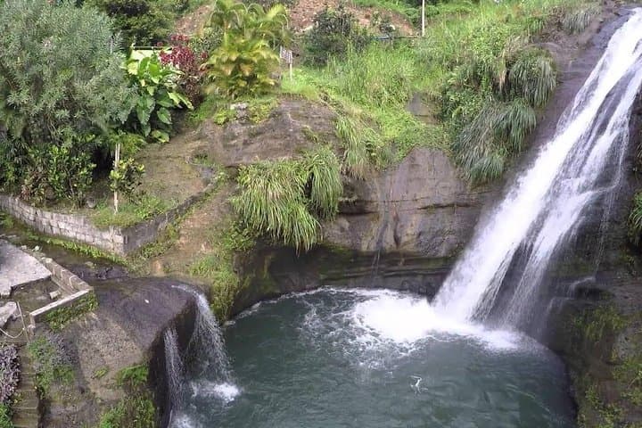 Half-Day Grenada Island Sightseeing: Chocolate, Rum & Grand Etang Rainforest photo 2