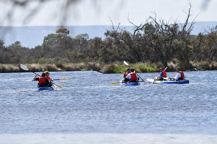 Paddling Perth: Guided Kayak Tour of the Canning River Wetlands photo 3