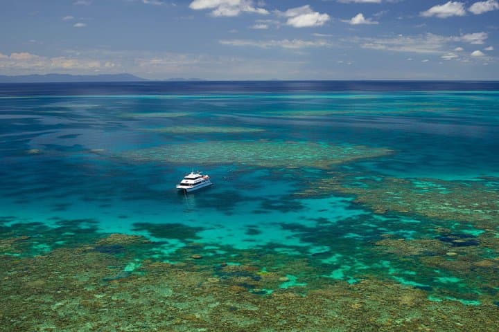 Agincourt Reef Day Cruise: Snorkel and Dive with Poseidon from Port Douglas photo 3